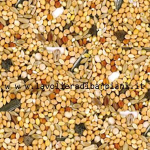 MANGIME PER INSEPARABILI E CALOPSITI (1 kg) cod. 6030/1