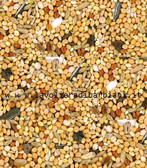 MANGIME PER INSEPARABILI E CALOPSITI (1 kg) cod. 6030/1