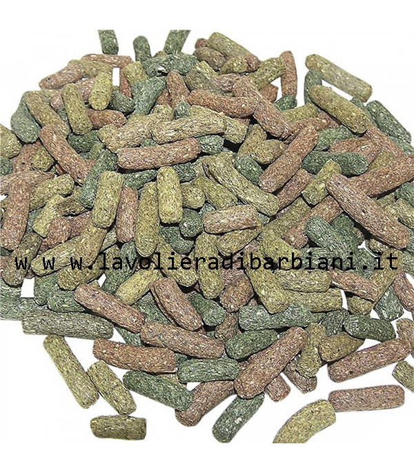 MANGIME PER TARTARUGHE DA TERRA (1 kg) - immagine 2