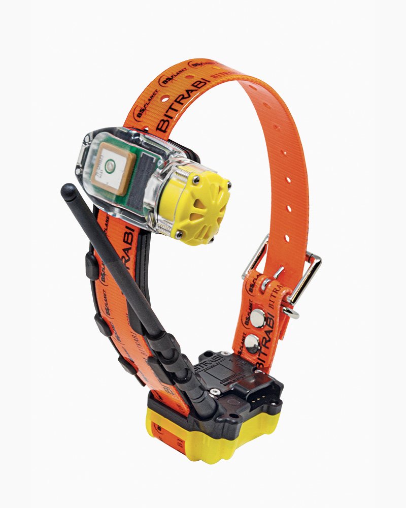 MITO 5100 PRO BEEPER collare satellitare GPS per cani da caccia