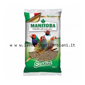 MANGIME PER ESOTICI (1 kg) cod. MEM1