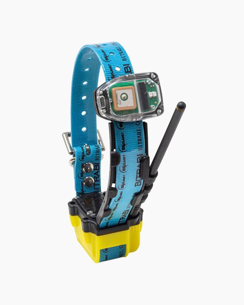 MITO 5300 PRO collare satellitare e GSM per cani da caccia