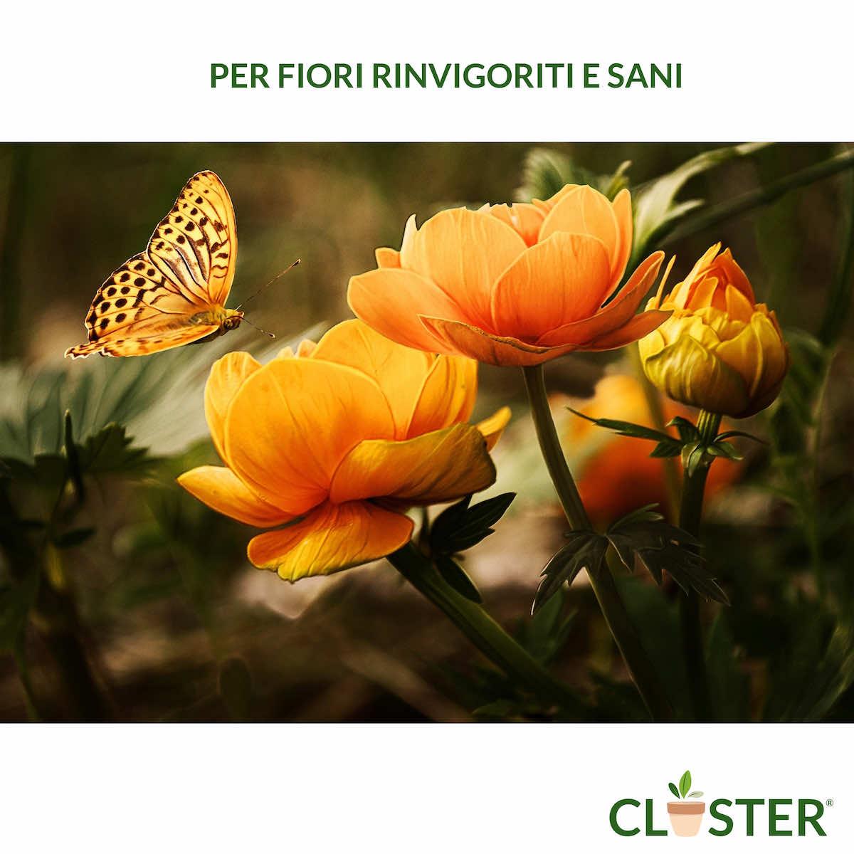 Microelementi - immagine 6